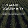 Weleda Rosemary Revitalising Conditioner Organic Sulphate Free 150 ml