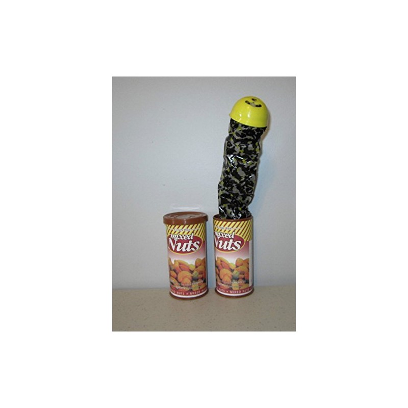 Rhode Island Novelty Snake in A NUT CAN Spring Loaded