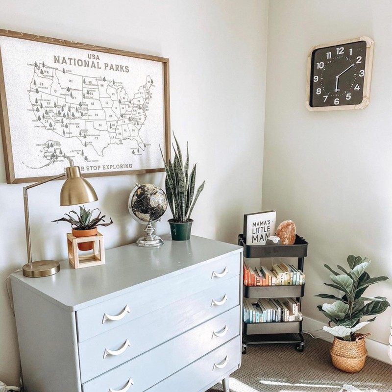 National Park MAP PIN Board