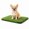 Fancy Pets Repuesto de Pasto Sintético para Tapete Doggie Grass