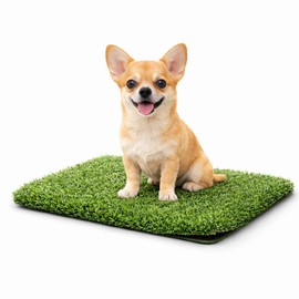 Fancy Pets Repuesto de Pasto Sintético para Tapete Doggie Grass Mini- Antimicrobiano y Resistente