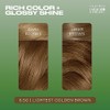 Clairol Natural Instincts 6.5G Lightest Golden Brown Hair Color â€“