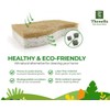 12 Pieces Natural Biodegradable Heavy Duty Scouring Pad Scratch Resistant