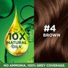 Garnier Color Naturals Crème hair color, Shade 4 Brown, 70ml