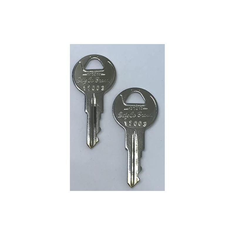 SafeCo Brands Fire Lite Replacement Fire Alarm Keys - 2