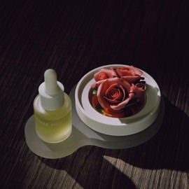 CELESTIQUE Rose Porcelain Flower Diffuser Essential Oil Diffuser Aromatherapy Diffuser Essential Oil Nebulizer Aroma Diffuser Porcelain Flower Aroma for Home Bedroom Bathroom Living Room Office