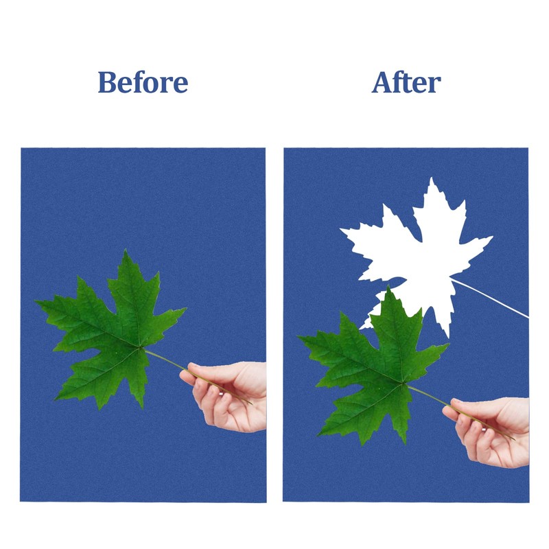 CRAFFANCY Sunprint Paper Kit, 20 Count Cyanotype Papers With Acrylic