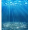 Laeacco 4x5ft Vinyl Photography Background Deep Underwater Crystal Blue Under
