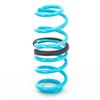 Godspeed LS-TS-VN-0002-A Traction-S Performance Lowering Springs, Reduce Body Roll, Improved