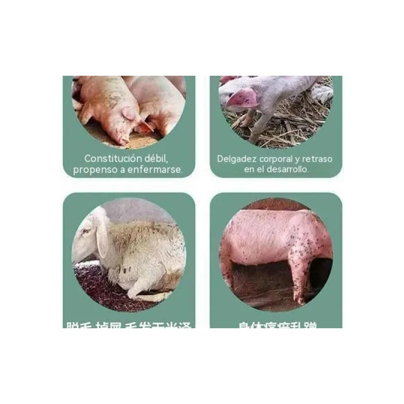 Suplemento Cuidado Animal Natural 200g Aves Ganado Cerdos Va