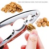 thirei Nutcracker walnuts, zinc die-cast stainless steel with walnut needles,