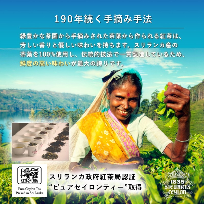 George Steuart Tea Flavored Tea Apple Tea Bag Tea 60g