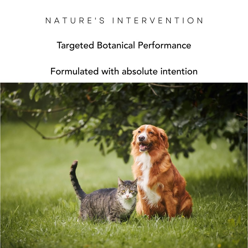 Nature's Intervention Soothing Equine Aloe Gel, Neem, 200g