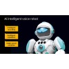 AI INTELLIGENT VOICE ROBOT