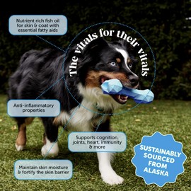 Omega 3 Fish Oil Supplement for Dogs & Cats (16oz), Wild Caught Omega 3 Fish Oil for Skin and Coat Health, Supports Shedding, Skin & Coat, Immunity, Joint, Brain & Heart, EPA + DHA