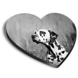 1 x Heart MDF Magnets - Dalmatian Puppy Dog Pet 36787