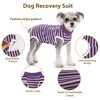 PawSailor Striped Dog Surgery Suit Female Male Dog Recovery Body