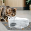 PAPIFEED Cat Water Fountain + Stainless Steel Tray + 1
