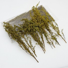 Woohome Scenics Grass Tufts Flower Cluster DIY Miniature Static Grass Tuft, Model Trees Bush for Model Railway Landscape DIY Miniature, Yellow Green