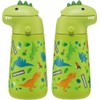 Skater SSH4D-A 3D Stainless Steel Drinking Drinking Bottle, 12.5 fl