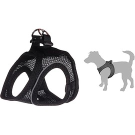 Step & Go Bento Black Medium 41-44cm