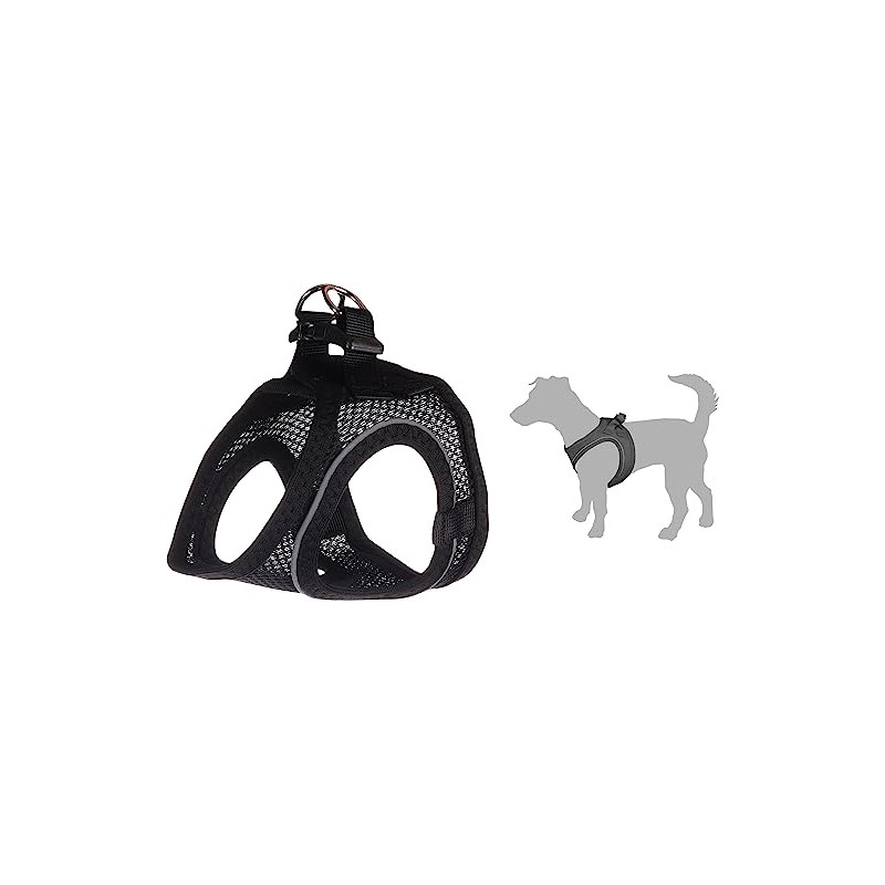 Step & Go Bento Black Medium 41-44cm