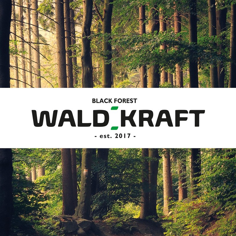 WALDKRAFT Beech Wood Windscreen Scraper (1)