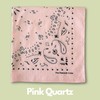 The Peacock Crew Pack of 4 Elegant Bandanas in Premium