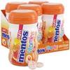 Mentos Gum with Vitamins, Sugar Free Chewing Gum with Xylitol,
