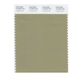 Pantone 16-0205 TCX Smart Color Swatch Card, Vintage Khaki