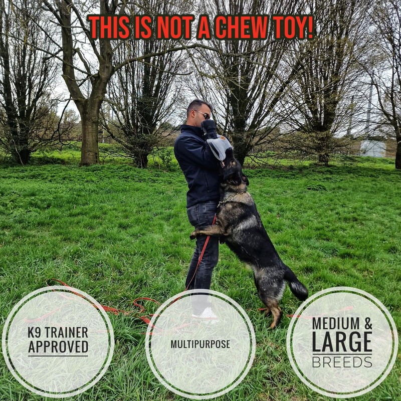 EQ K9 Leather Dog Tug Toy, 3 Solid Handles, Durable