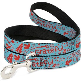 Buckle-Down Pet Leash, Dog Leash, Grateful Optimism Be Kind Icons Collage Blue Red, 4 Feet Long 1.0 Inch Wide