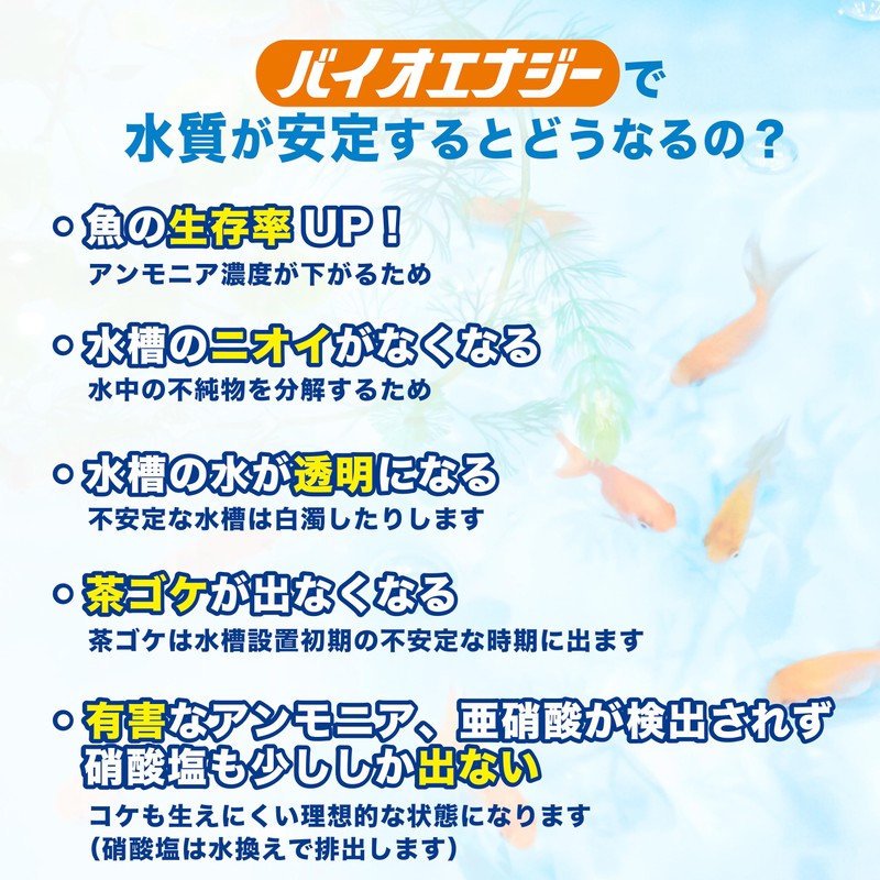 ENJOY AQUA Fish with Clean Water! High Concentration Bacteria, Bio