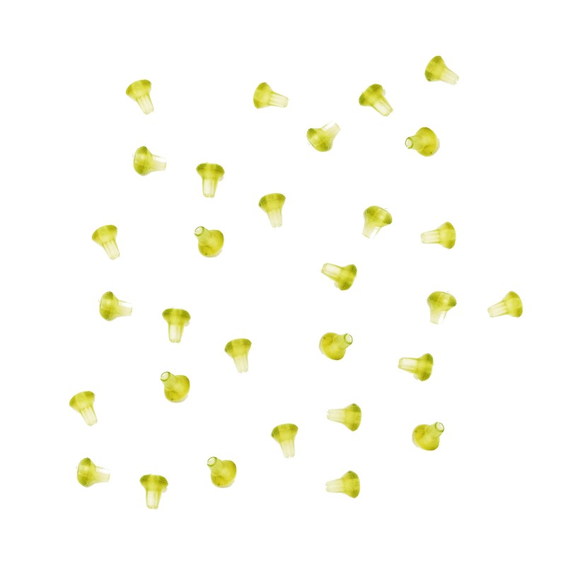 CARP ON - 30 Pack of HOOK BEADS Rig Terminal