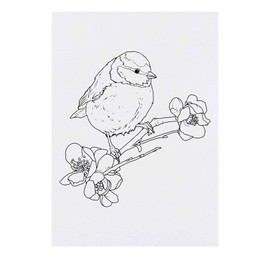 'Blue Tit on Flowering Branch' Temporary Tattoo - Water Resistant, Skin-Safe, Non-Toxic Transfer (TO00085133)