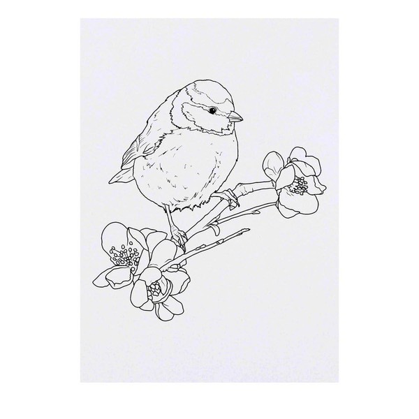 'Blue Tit on Flowering Branch' Temporary Tattoo - Water Resistant,