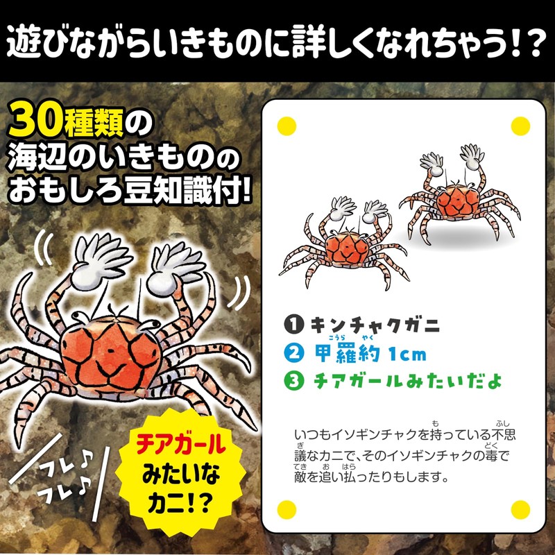 Artec 21657 Karuta Card Game Ikimono Mikke! Karuta Umbe no