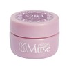 Preanfa PGU-S283 Color Gel PGU-S283 Color Gel Nail 283 0.1