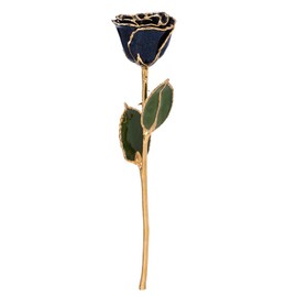 Forever Rose Real Rainbow Rose, Genuine One of a Kind Rose Hand Dipped in Lacquer & Trimmed in 24K Gold
