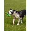 Rosewood Flingerz Frog Dog Toy Launcher - Interactive Fetch Toy