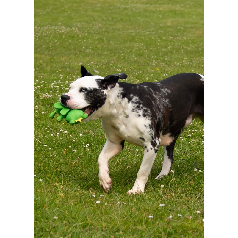 Rosewood Flingerz Frog Dog Toy Launcher - Interactive Fetch Toy