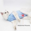 Cat Professional Recovery Suit for Abdominal Wounds or Skin Diseases,