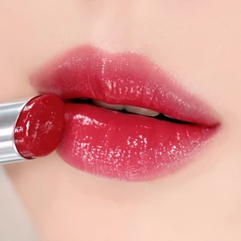 WAKEMAKE Dewy Gel Glaze Stick 12 Colors - #10 CRUSHED RED