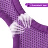 YIMEIS Dog Harness and Leash Set, No Pull Soft Mesh