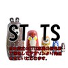 ST TS Matryoshka Matryoshka Dolls Handmade Nordic Style Animal Traditional