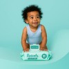 Toallitas Húmedas Premium Rascals Piel Sensible 1 Pack 80 Pz