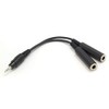 CLASSIC PRO Y Cable YMP221