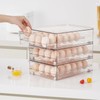 vacane 24 Capacity Egg Holder for Refrigerator Organizer Bins, Clear