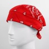 Unbranded Bandana Navy & Red Duo Pack