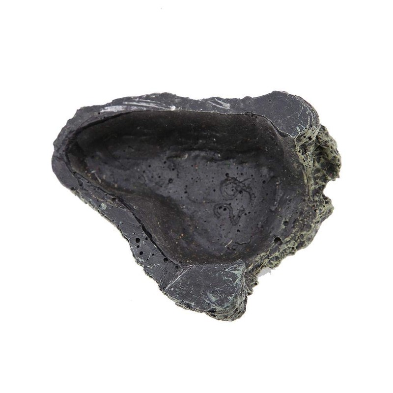 Turtle Lair Reptile Shelter Reptile Cave Turtle Floating Island Resin